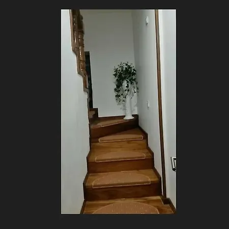 Casa Alzira Baltazar Clemente